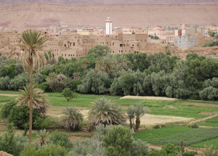 Ruta 5 Dias Fez A Marrakech Via El Desierto