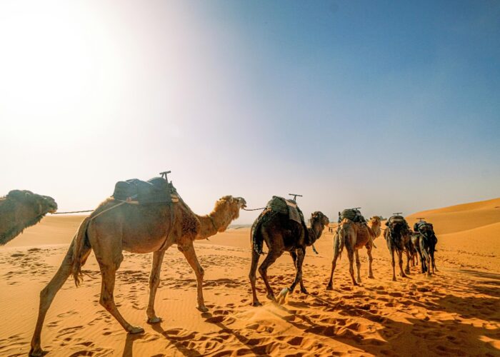 Ruta De 4 Dias Desde Fez A Marrakech